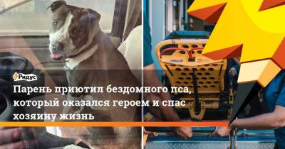 Парень приютил бездомного пса, который оказался героем и спас хозяину жизнь - ridus.ru - Техас