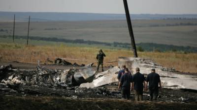 Аглая Чайковская - Слушания по делу о крушении MH17 в суде Гааги будут проходить до 2022 года - politros.com - Украина - Гаага