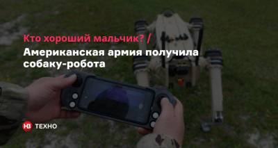 Кто хороший мальчик? Американская армия получила собаку-робота - nv.ua