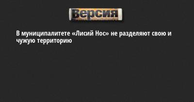 В муниципалитете «Лисий Нос» не разделяют свою и чужую территорию - neva.versia.ru - Санкт-Петербург
