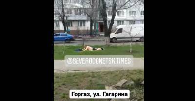 Когда запретили отдыхать в лесу: В Северодонецке мужчина оригинально открыл сезон загара - vchaspik.ua - Украина - Северодонецк