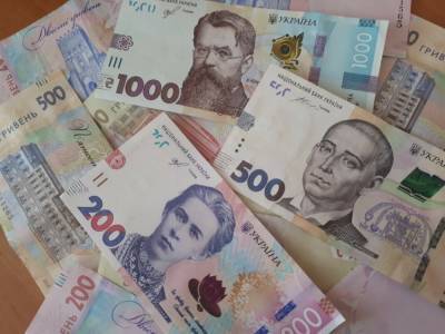 Выплаты ФЛП: сколько украинцев подали заявки за первый день - ru.slovoidilo.ua