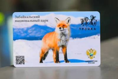 «Тройки» с Забайкальским национальным парком появились в столичном метро - vm.ru