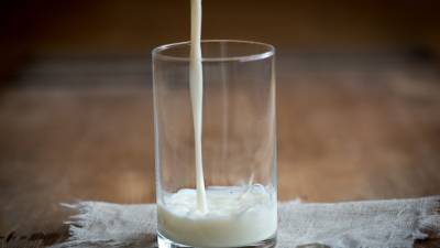 Андрей Ковалев - Российские ученые разработали уникальную технологию пастеризации молока - newinform.com