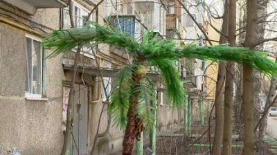 Пензенец украсил двор самодельной пальмой и героями мультфильма - penzainform.ru - Благоустройство