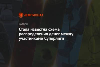 Стала известна схема распределения денег между участниками Суперлиги - championat.com