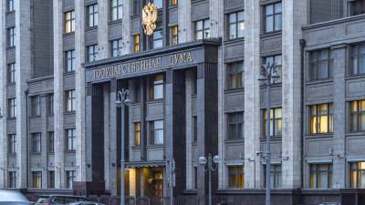Владимир Путин - Светлана Бессараб - В Госдуме назвали возможные темы ежегодного послания Путина Федеральному собранию - russian.rt.com