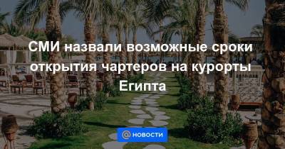 СМИ назвали возможные сроки открытия чартеров на курорты Египта - smartmoney.one - Египет
