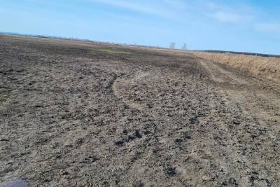 «Молодцы, джидинцы»: в Бурятии началась посевная кампания - ulan.mk.ru - респ.Бурятия