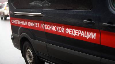 СК начал проверку после избиения школьника во Владивостоке - iz.ru - Владивосток