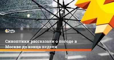Юрий Варакин - Синоптики рассказали о погоде в Москве до конца недели - ridus.ru - Москва - Московская обл.