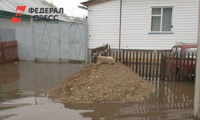 В Красноярском крае десятки человек эвакуированы из-за угрозы подтопления - fedpress.ru - Красноярский край - Красноярск - Енисейск