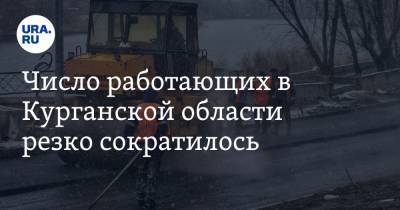 Число работающих в Курганской области резко сократилось - ura.news - Курганская обл.