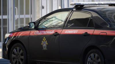 СК завел уголовное дело после убийства отцом двоих детей в Якутии - gazeta.ru - респ. Саха