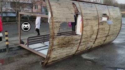 В Пензе ураганный ветер повалил деревья и остановочные павильоны - penzainform.ru - Пенза