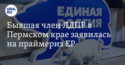 Бывшая член ЛДПР в Пермском крае заявилась на праймериз ЕР - ura.news - Пермь - Пермский край