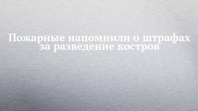 Пожарные напомнили о штрафах за разведение костров - chelny-izvest.ru - Набережные Челны