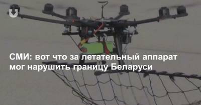 СМИ: вот что за летательный аппарат мог нарушить границу Беларуси - news.tut.by - Польша