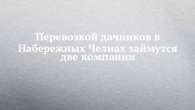 Перевозкой дачников в Набережных Челнах займутся две компании - chelny-izvest.ru - респ. Татарстан - Набережные Челны