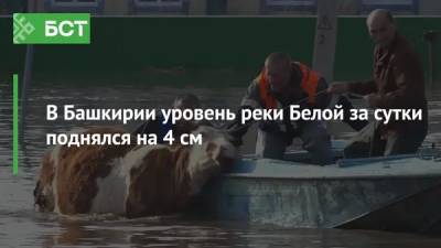 В Башкирии уровень реки Белой за сутки поднялся на 4 см - bash.news - Башкирия - Уфа