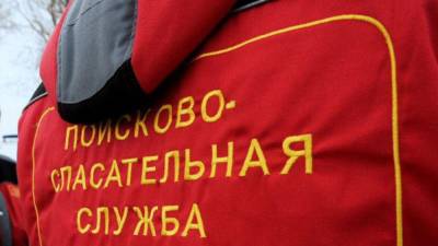 Сахалинские следователи устанавливают обстоятельства пропажи 11-летнего школьника - nation-news.ru - Сахалинская обл. - Южно-Сахалинск