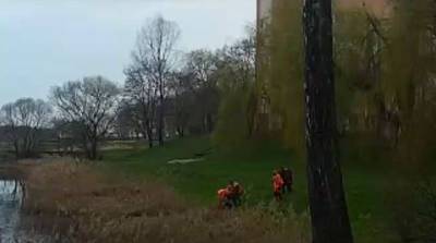 В Дятлово на озере спасен пожилой мужчина - belta.by - Минск