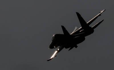 Возможной причиной крушения Су-30СМ в Казахстане является столкновение с птицами - runews24.ru - Карагандинская обл.