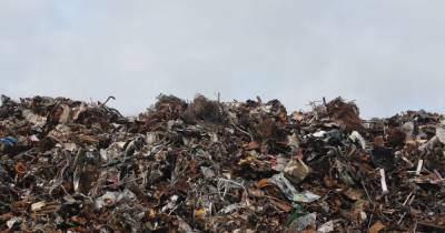 В Украине становится больше мусора: только 6% отходов перерабатывают, 94% — отправляют на свалки - tsn.ua - Украина - Экология