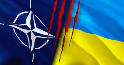 Натовцы сползаются на Украину - ren.tv - Донбасс