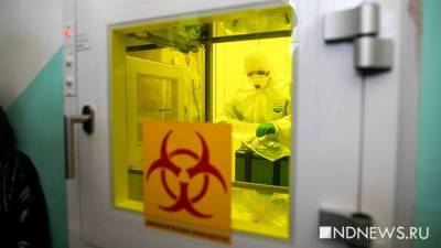 В России за сутки выявили 8 271 случай заражения Covid-19 - newdaynews.ru - Москва - Санкт-Петербург - респ. Алтай - Еврейская обл. - респ.Тыва - Чукотка - окр.Ненецкий