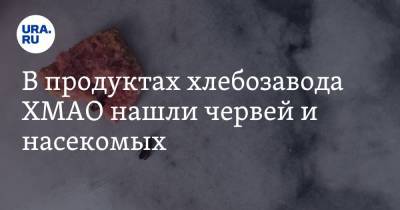 В продуктах хлебозавода ХМАО нашли червей и насекомых. Видео - ura.news - Сургут - Югра - республика Карелия