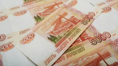 Вера Щербина - Правительство Приморья утвердило изменения в закон о краевом бюджете на 2021 год - russian.rt.com - Приморье край