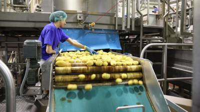 PepsiCo к 2030 году внедрит практики «устойчивого земледелия» почти на 3 млн га - iz.ru