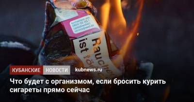Что будет с организмом, если бросить курить сигареты прямо сейчас - kubnews.ru