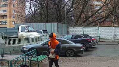 Юноша с ножом отнял у 13-летней девочки телефон в Подмосковье - vesti.ru - Московская обл.