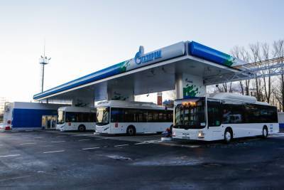 Кирилл Поляков - 2700 автобусов на газомоторном появится в Петербурге - neva.today - Санкт-Петербург