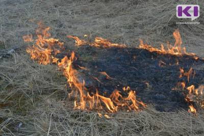 В трех районах Коми пожарные боролись с возгоранием сухой травы - komiinform.ru - респ. Коми - Сосногорск