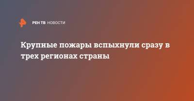 Крупные пожары вспыхнули сразу в трех регионах страны - ren.tv - Ленинградская обл. - Костромская обл. - Самарская обл.