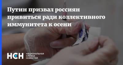 Владимир Путин - Путин призвал россиян привиться ради коллективного иммунитета к осени - nsn.fm