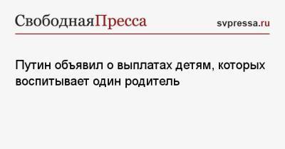 Владимир Путин - Путин объявил о выплатах детям, которых воспитывает один родитель - svpressa.ru