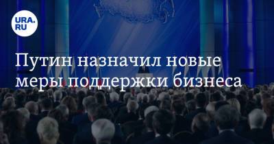 Владимир Путин - Путин назначил новые меры поддержки бизнеса - ura.news