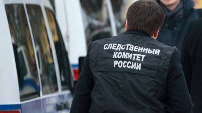 Ольга Врадий - В Подмосковье, надышавшись газом из баллончика, погиб 15-летний подросток - runews24.ru - Московская обл.