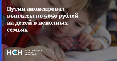 Владимир Путин - Путин анонсировал выплаты по 5650 рублей на детей в неполных семьях - nsn.fm