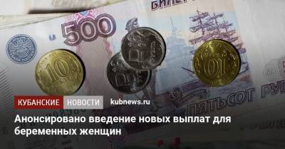 Владимир Путин - Анонсировано введение новых выплат для беременных женщин - kubnews.ru - Краснодарский край