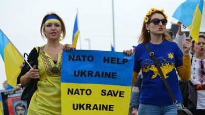 У 1148 жителей Украины спросили, хотят ли они членства страны в НАТО - argumenti.ru - Украина