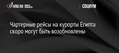 Михаил Богданов - Чартерные рейсы на курорты Египта скоро могут быть возобновлены - ivbg.ru - Россия - Египет