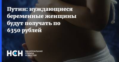 Владимир Путин - Путин: нуждающиеся беременные женщины будут получать по 6350 рублей - nsn.fm