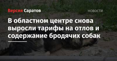 Михаил Исаев - В областном центре снова выросли тарифы на отлов и содержание бродячих собак - nversia.ru - Саратов