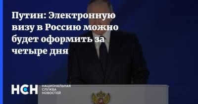 Владимир Путин - Путин: Электронную визу в Россию можно будет оформить за четыре дня - nsn.fm