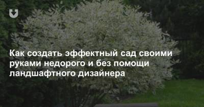 Как создать эффектный сад своими руками недорого и без помощи ландшафтного дизайнера - news.tut.by